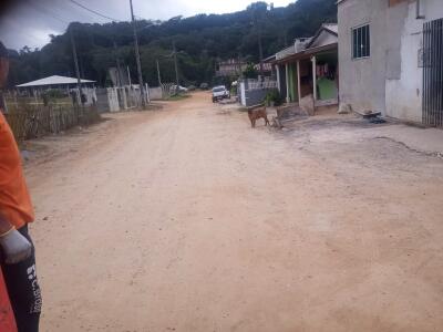 ALERTA ANIMAIS 1