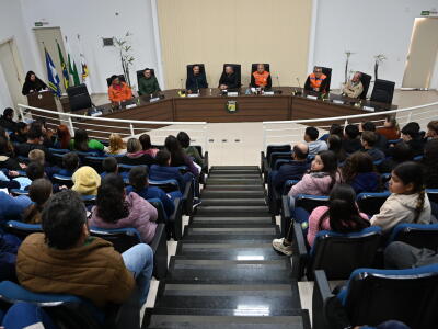 PALESTRA DEFESA 7