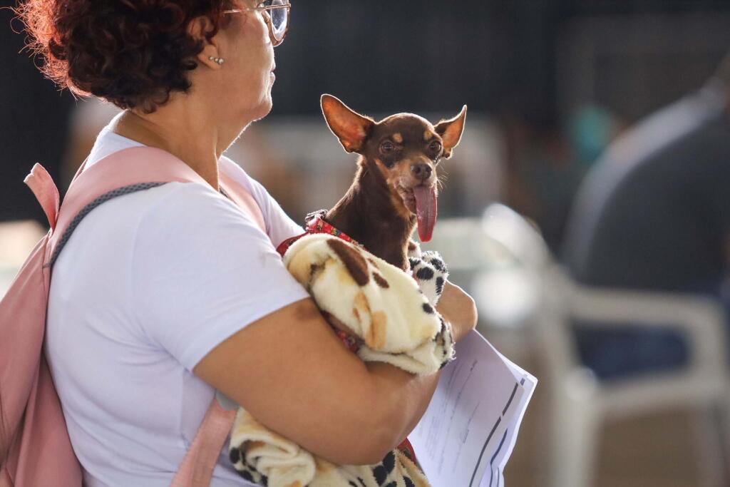 VetMóvel Paraná realizará ação em Contenda