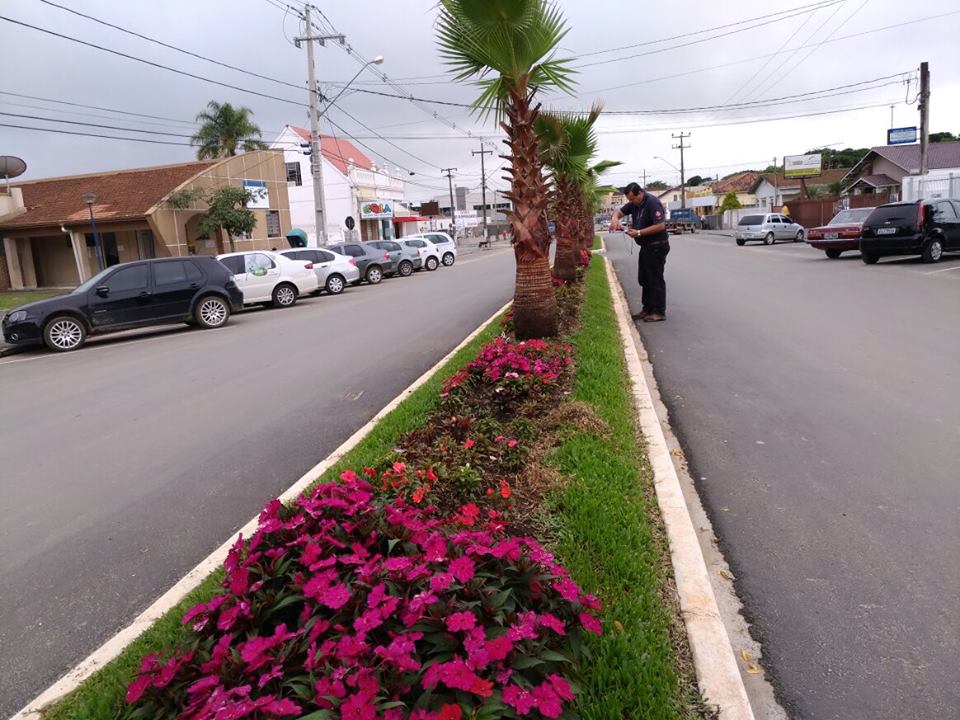 Prefeitura inicia Plano de Arborização Urbana