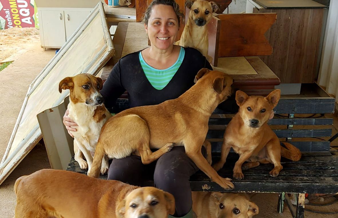 Contenda cria programa para protetores de animais