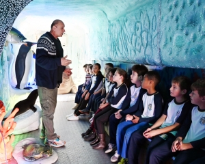 carreta-marinha_(178)