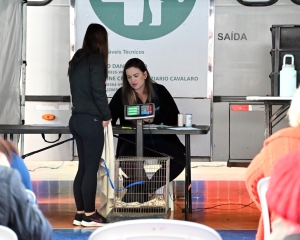 castrapet-contenda-5