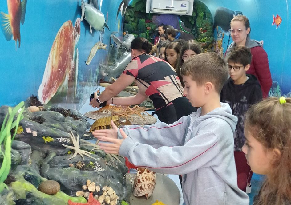 Contenda receberá o Projeto Vida Marinha